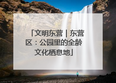 文明东营｜东营区：公园里的全龄文化栖息地