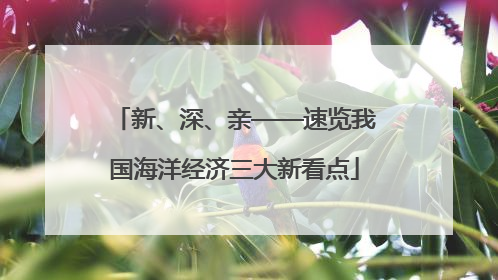 新、深、亲——速览我国海洋经济三大新看点