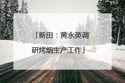新田：黄永英调研烤烟生产工作