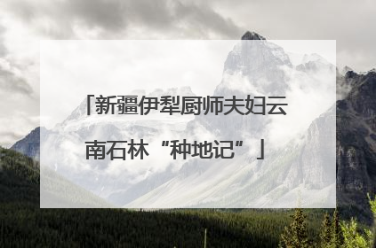 新疆伊犁厨师夫妇云南石林“种地记”