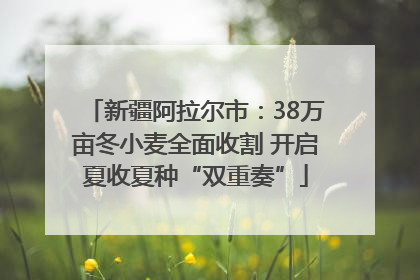 新疆阿拉尔市：38万亩冬小麦全面收割 开启夏收夏种“双重奏”