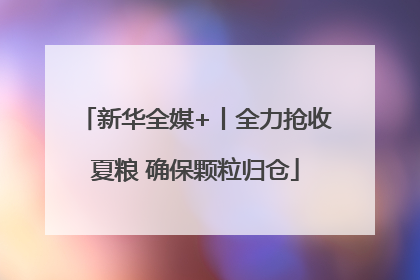 新华全媒+丨全力抢收夏粮 确保颗粒归仓