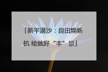 新平漠沙：良田焕新机 绘就好“丰”景