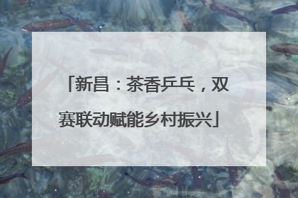 新昌：茶香乒乓，双赛联动赋能乡村振兴