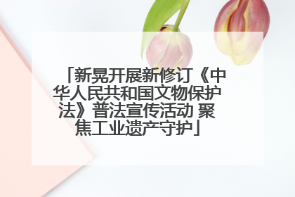 新晃开展新修订《中华人民共和国文物保护法》普法宣传活动 聚焦工业遗产守护