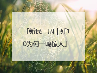 新民一周｜歼10为何一鸣惊人