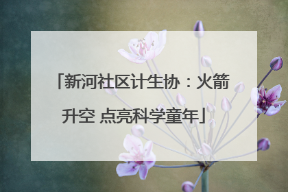 新河社区计生协：火箭升空 点亮科学童年