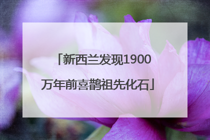 新西兰发现1900万年前喜鹊祖先化石