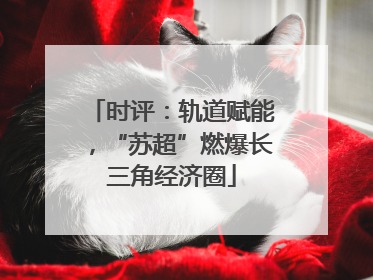 时评：轨道赋能，“苏超”燃爆长三角经济圈