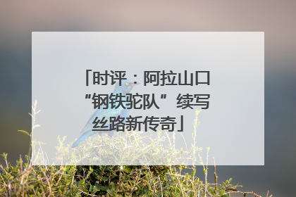 时评：阿拉山口“钢铁驼队”续写丝路新传奇