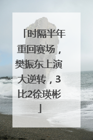 时隔半年重回赛场，樊振东上演大逆转，3比2徐瑛彬