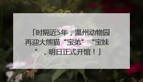 时隔近5年，温州动物园再迎大熊猫“宝弟”“宝妹”，明日正式开馆！