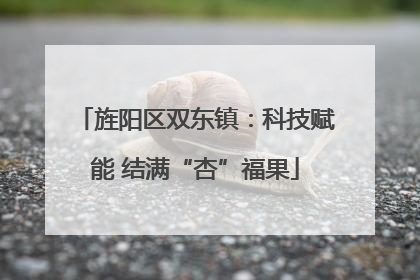旌阳区双东镇：科技赋能 结满“杏”福果