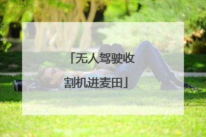 无人驾驶收割机进麦田