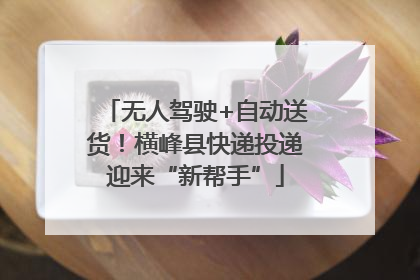 无人驾驶+自动送货！横峰县快递投递迎来“新帮手”
