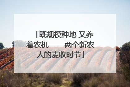 既规模种地 又养着农机——两个新农人的麦收时节