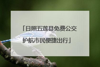 日照五莲县免费公交护航市民便捷出行