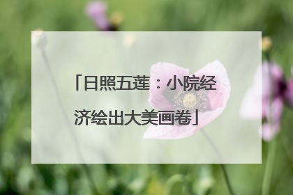 日照五莲：小院经济绘出大美画卷