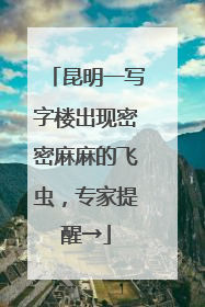 昆明一写字楼出现密密麻麻的飞虫，专家提醒→