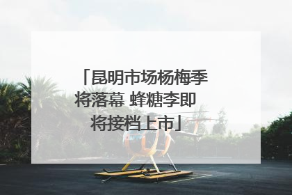 昆明市场杨梅季将落幕 蜂糖李即将接档上市