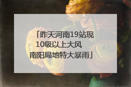 昨天河南19站现10级以上大风  南阳局地特大暴雨