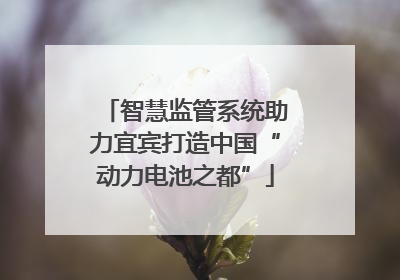 智慧监管系统助力宜宾打造中国“动力电池之都”