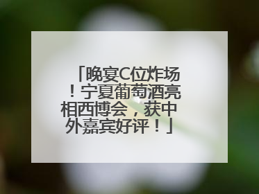 晚宴C位炸场！宁夏葡萄酒亮相西博会，获中外嘉宾好评！