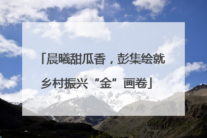 晨曦甜瓜香，彭集绘就乡村振兴“金”画卷