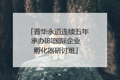 普华永道连续五年承办IBI国际企业孵化器研讨班