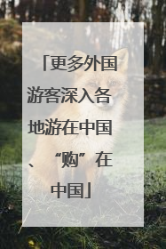 更多外国游客深入各地游在中国、“购”在中国