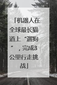 机器人在全球最长猫道上“遛狗”，完成3公里行走挑战