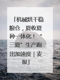 机械烘干稳粮仓，夏收夏种一体化！“三夏”生产跑出加速度｜麦报