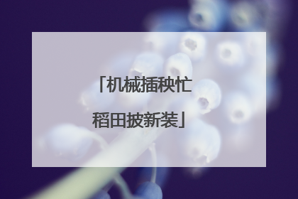 机械插秧忙 稻田披新装