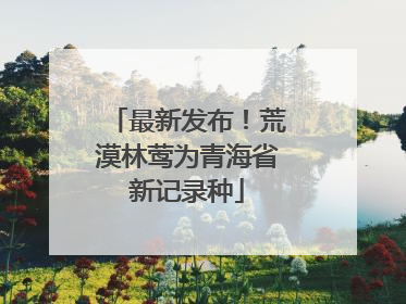 最新发布！荒漠林莺为青海省新记录种