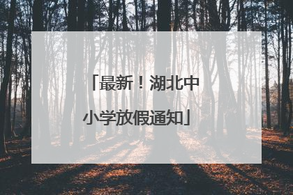 最新！湖北中小学放假通知