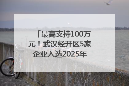 最高支持100万元！武汉经开区5家企业入选2025年度武汉市重点研发计划拟立项项目名单