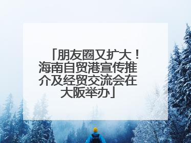 朋友圈又扩大！海南自贸港宣传推介及经贸交流会在大阪举办
