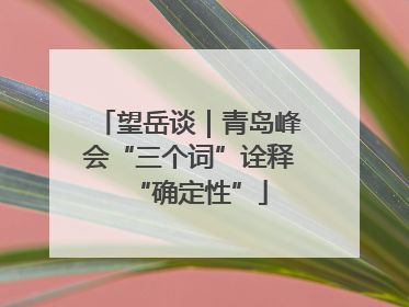 望岳谈｜青岛峰会“三个词”诠释“确定性”