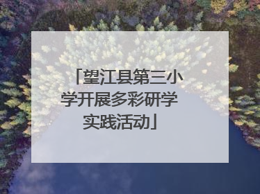 望江县第三小学开展多彩研学实践活动