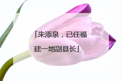 朱添泉，已任福建一地副县长