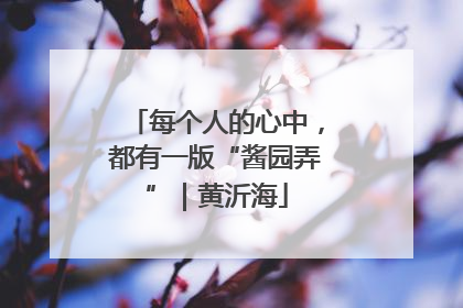 每个人的心中，都有一版“酱园弄”｜黄沂海