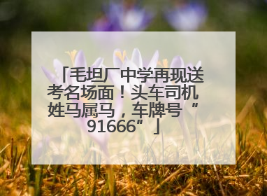 毛坦厂中学再现送考名场面！头车司机姓马属马，车牌号“91666”