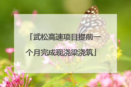 武松高速项目提前一个月完成现浇梁浇筑