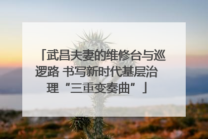 武昌夫妻的维修台与巡逻路 书写新时代基层治理“三重变奏曲”