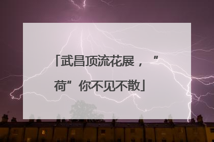 武昌顶流花展，“荷”你不见不散