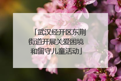 武汉经开区东荆街道开展关爱困境和留守儿童活动