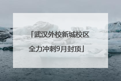 武汉外校新城校区全力冲刺9月封顶