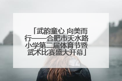 武韵童心 向美而行——合肥市天水路小学第二届体育节暨武术比赛盛大开幕