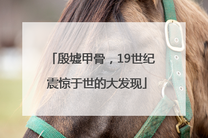 殷墟甲骨，19世纪震惊于世的大发现