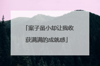 案子虽小却让我收获满满的成就感